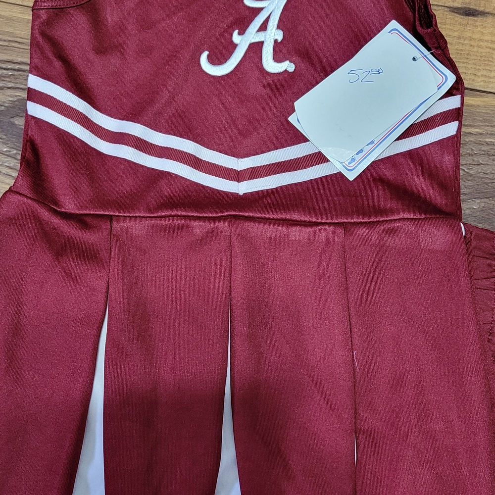 Crimson Cheerleader Dress with White Accents